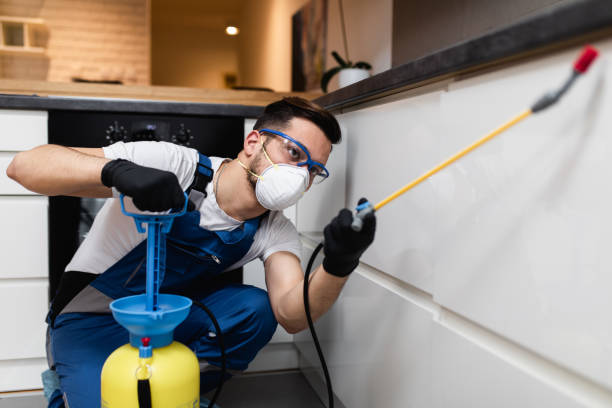 Best Rat Extermination Near Me  in St John, KS