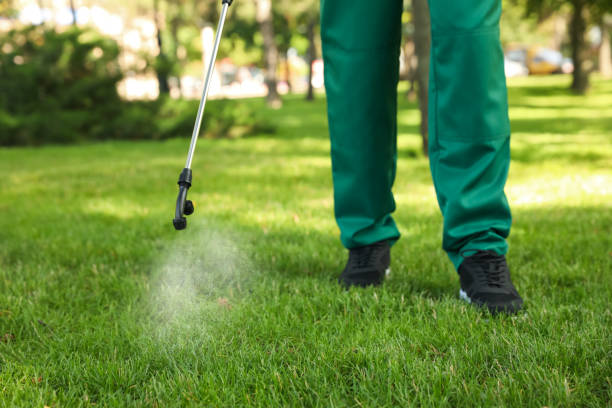 Best Emergency Pest Control  in St John, KS