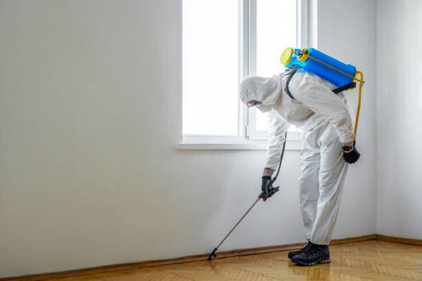 Best Pest Control Near Me  in St John, KS