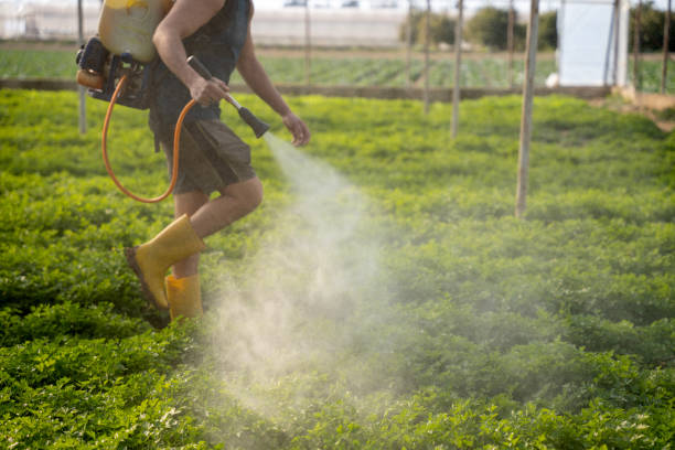 Best Local Pest Control Services  in St John, KS