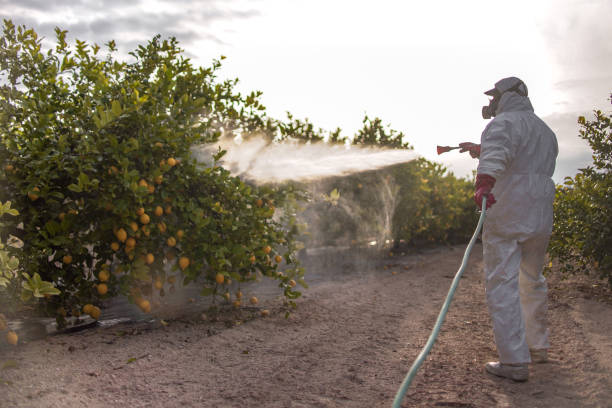Best Best Pest Control Companies  in St John, KS