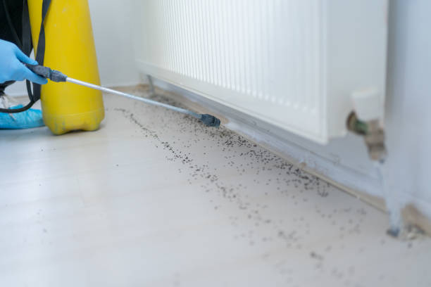 Reliable St John, KS Pest Control Solutions