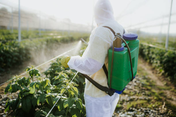 Best Flea Control Services  in St John, KS